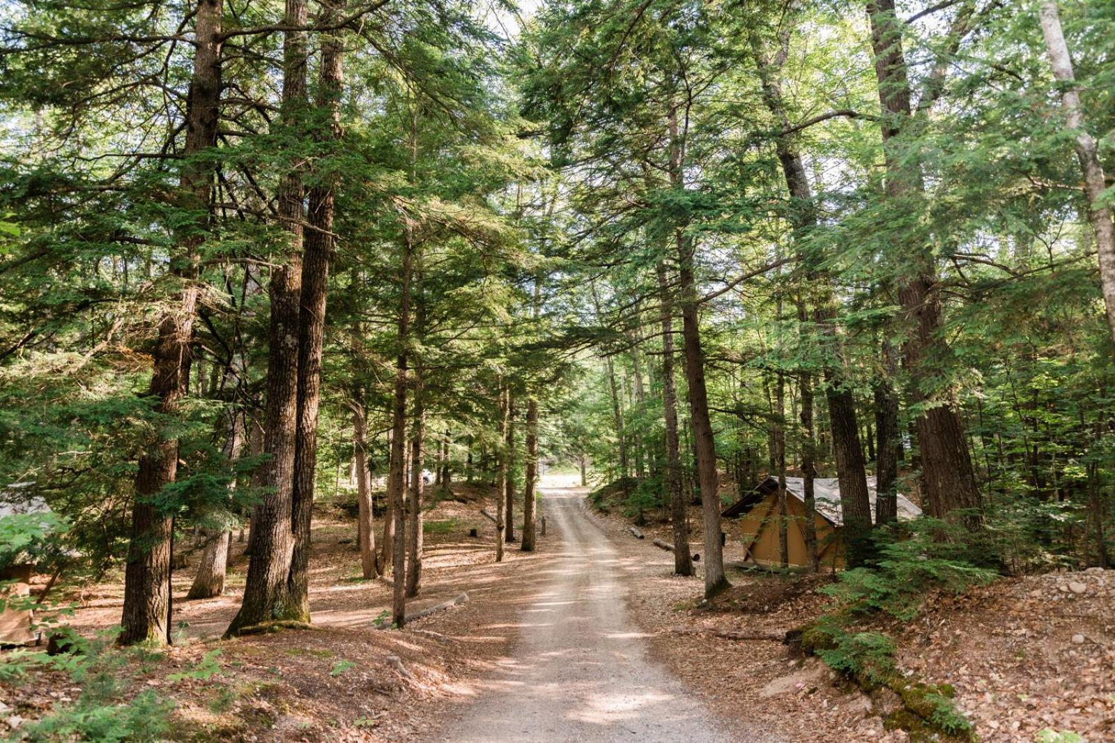 Huttopia White Mountains Albany Exterior foto